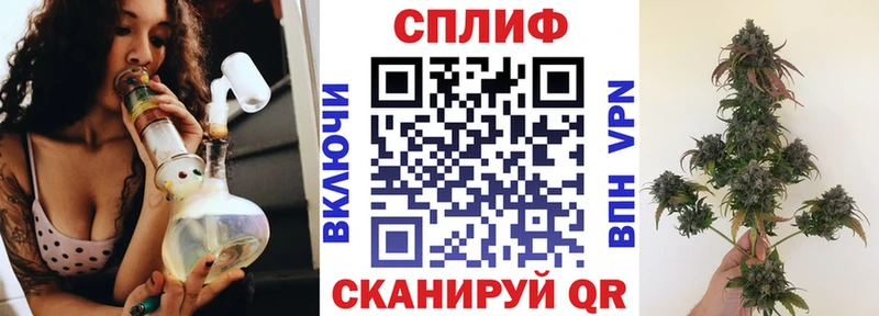 Каннабис индика  цены   Шарья 
